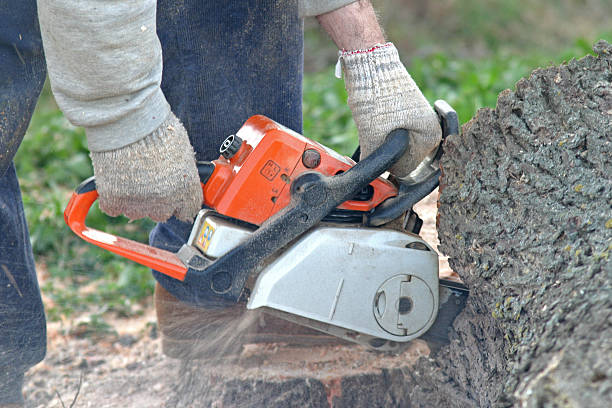 Best Soil Testing and Treatment  in Listoga, CA