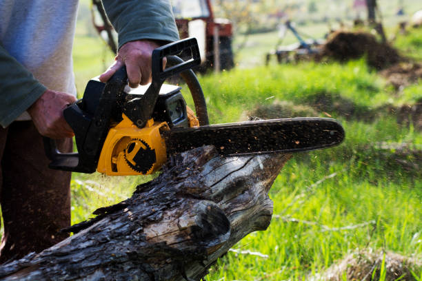Best Seasonal Cleanup (Spring/Fall)  in Listoga, CA